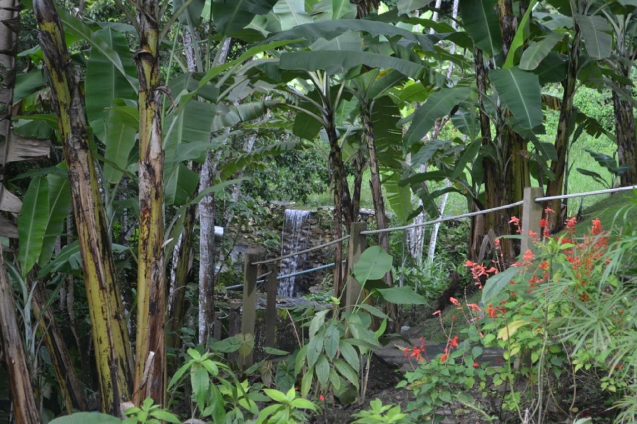 Sitio Alto Da Montanha - Voce Em Paz Com A Natureza Villa Pacoti Bagian luar foto