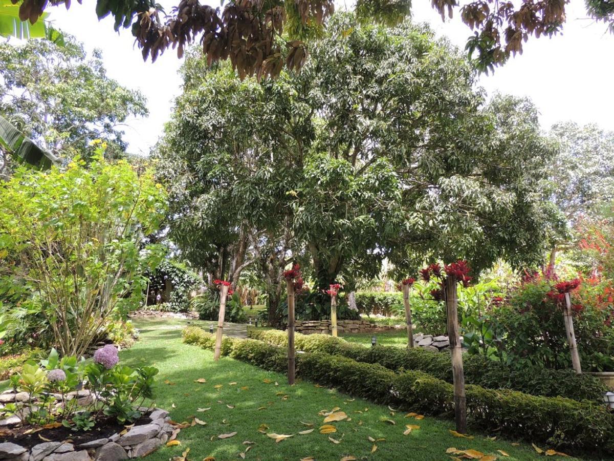 Sitio Alto Da Montanha - Voce Em Paz Com A Natureza Villa Pacoti Bagian luar foto