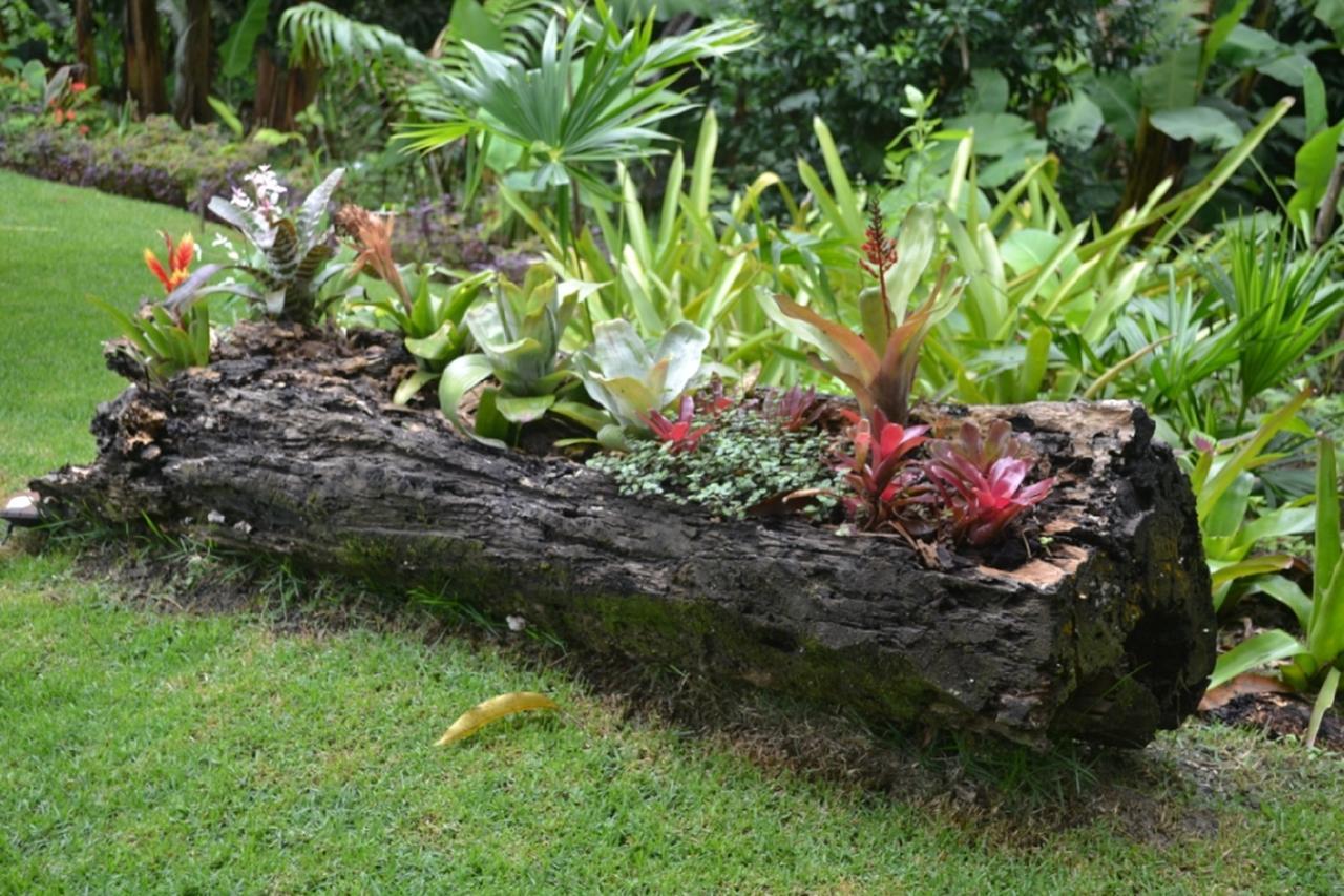 Sitio Alto Da Montanha - Voce Em Paz Com A Natureza Villa Pacoti Bagian luar foto