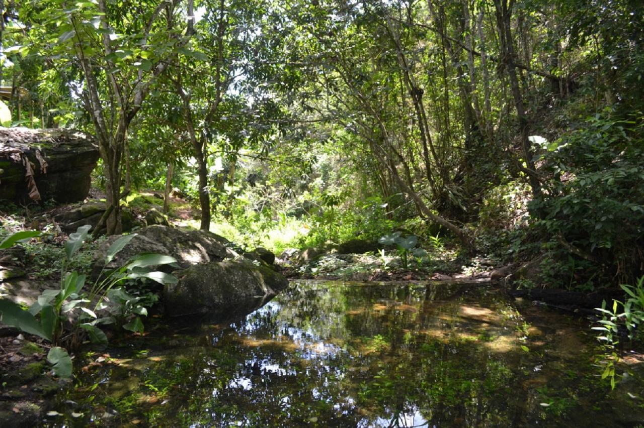 Sitio Alto Da Montanha - Voce Em Paz Com A Natureza Villa Pacoti Bagian luar foto